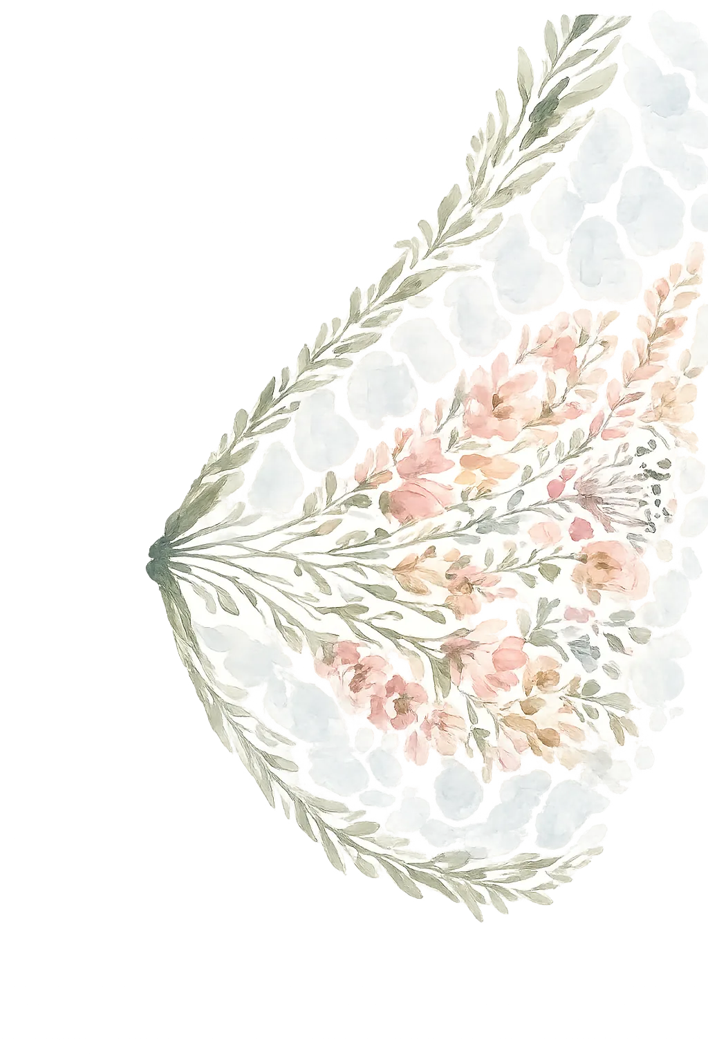 Women's health ultrasound illustration